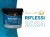 DECOVERINI RIFLESSI 1 KG kolor 202