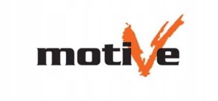 Logo MOTIVE