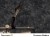 PROVENCE glinka wenecka ZESTAW NA OK. 5-7m2 MODERN