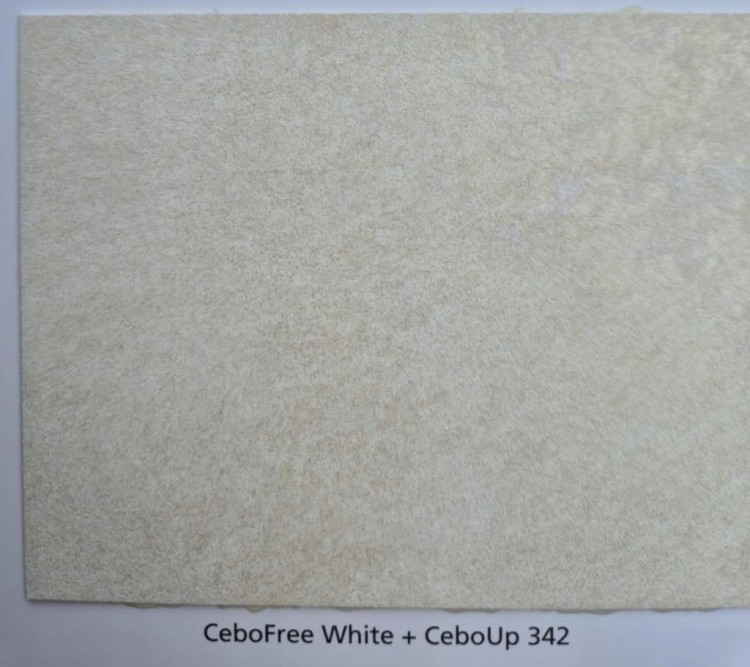 ZESTAW CEBOFREE WHITE+CEBO UP 342 KREMOWY BEŻ