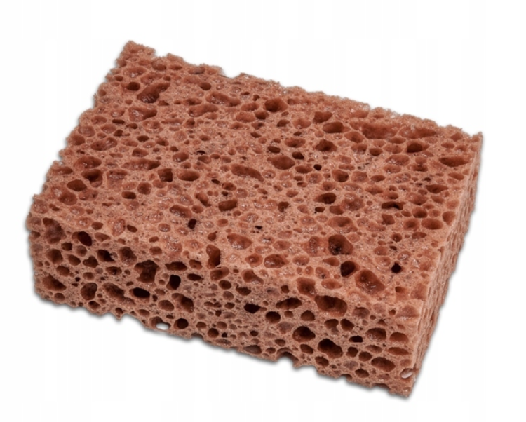 GĄBKA