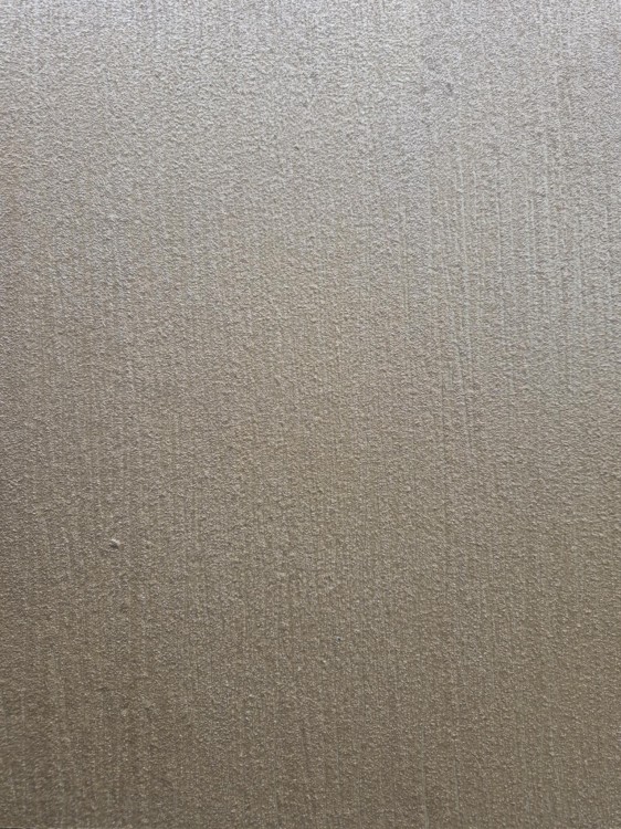 Decomal złoty Paca szczotkowa.jpg