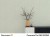 Decoverni Concrete Fini 5 kg – beton dekoracyjny DB 209/50
